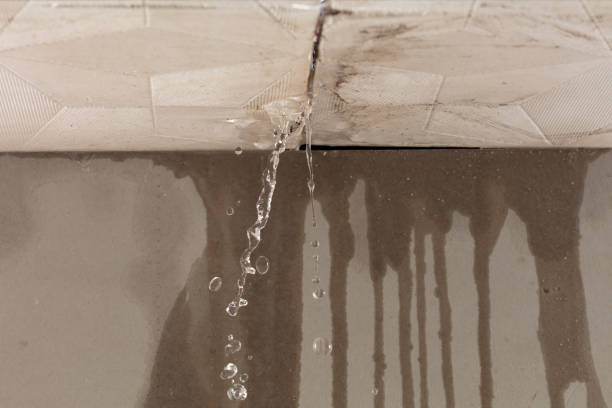 Professional Structural Drying technician working in Guatay, CA